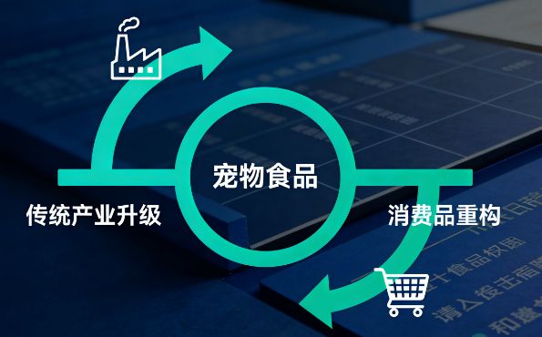 又一千亿跨界企业，加码宠物赛道