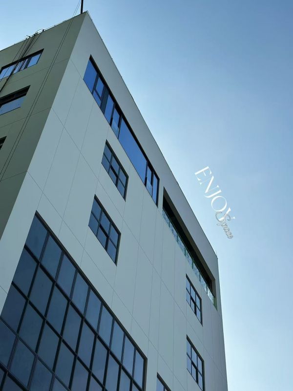 专业宠物美容师使用弯牙剪进行精致修剪