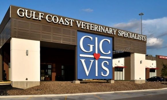 全美最大的兽医专科医院之一