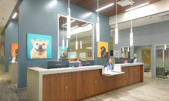 全美最大的兽医专科医院之一