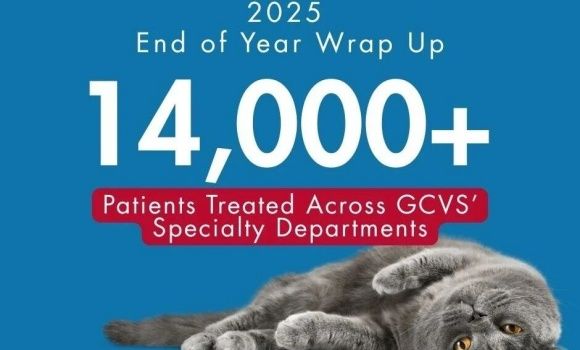 全美最大的兽医专科医院之一