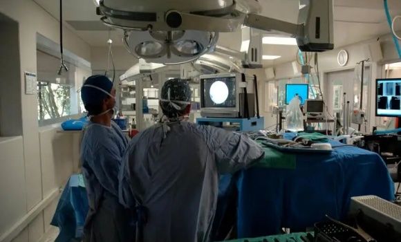 全美最大的兽医专科医院之一