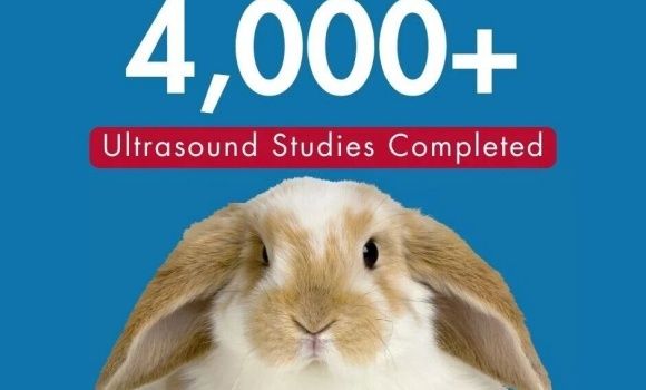 全美最大的兽医专科医院之一