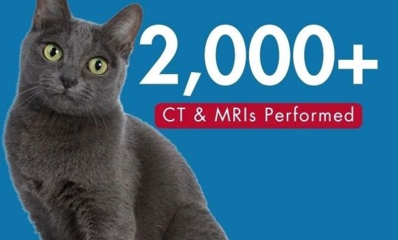 全美最大的兽医专科医院之一