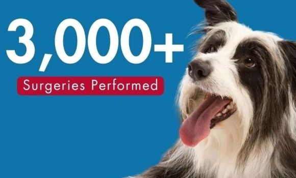 全美最大的兽医专科医院之一