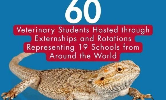 全美最大的兽医专科医院之一