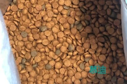 慕迪mooddelight狗粮好不好