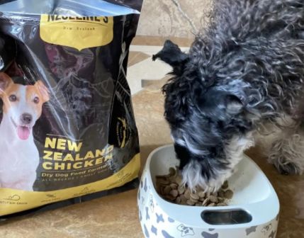 圣贝宠狗粮：科学配方，守护爱宠健康成长