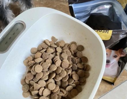 圣贝宠狗粮：科学配方，守护爱宠健康成长