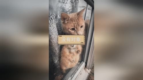 找不到对象怎么办