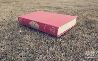 宠物狗在宠物医院手术后意外死亡宠物医院应赔偿吗