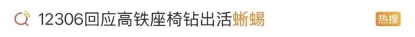 高铁车厢内突然出现蜥蜴？“心跳都快停了！”铁路最新通报→