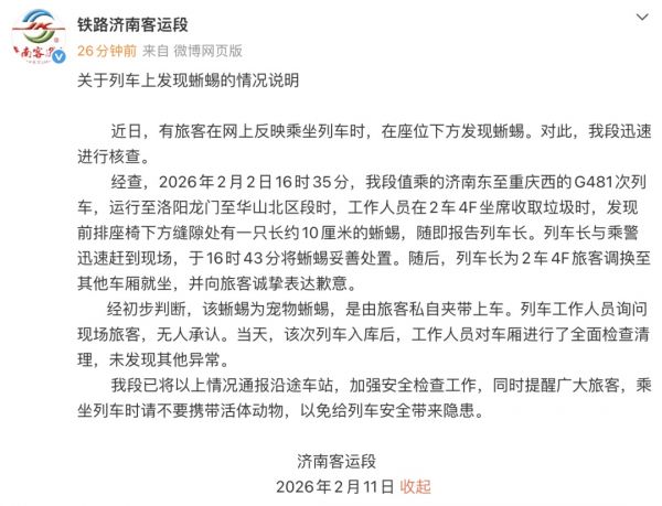 高铁车厢内突然出现蜥蜴？“心跳都快停了！”铁路最新通报→