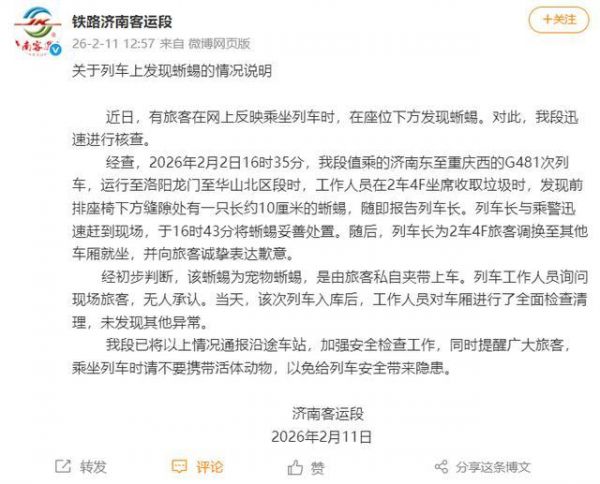 “旅客在座位下方发现蜥蜴”，官方通报