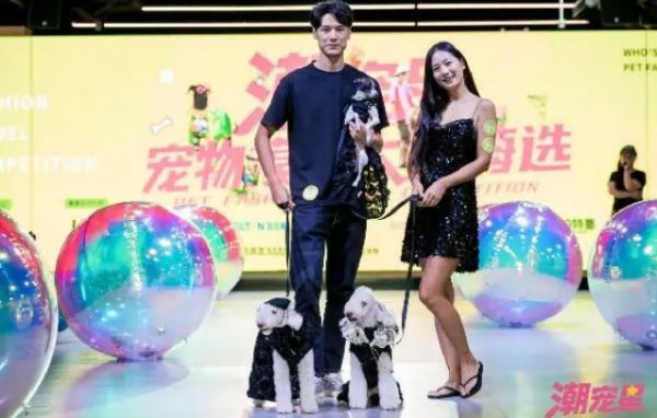 萌宠齐聚POP秀场，潮宠星（上海）宠物模特大赛海选上演宠物时尚派对
