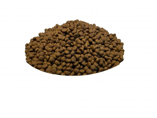 低敏粮大型犬犬粮