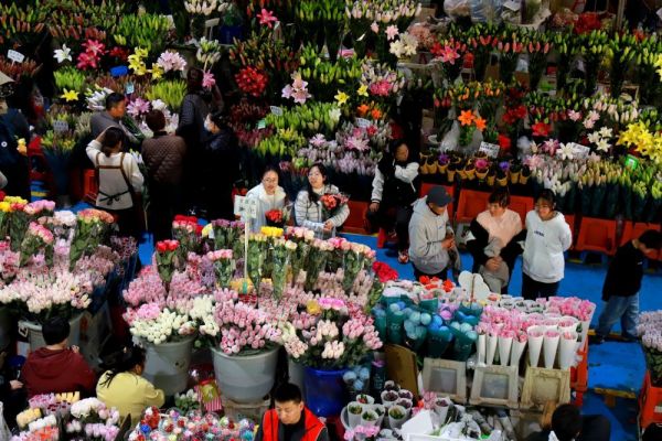 2月1日，人们在昆明的斗南花卉市场内选购鲜花。新华社发（郑益 摄）