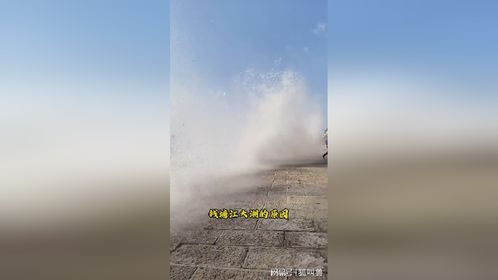 这就是为什么我让你千万不要靠近钱塘江大潮的原因！