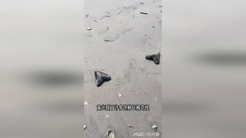 阳光下这种石头，透露着一股神秘的气息，你见过它吗？