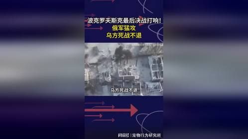 波克罗夫斯克激战正酣！俄乌生死较量，谁将笑到最后？