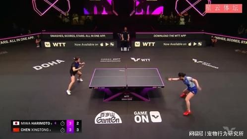 陈幸同对决张本美和，决胜局惊现最惊心绝杀球！