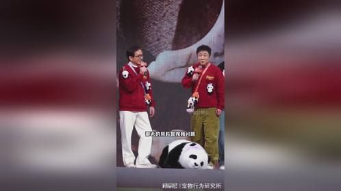 乔杉谢霆锋斜眼争议，热搜背后真相揭秘