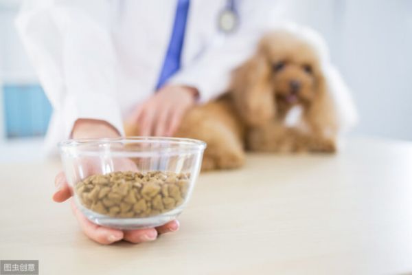 泰迪犬吃什么狗粮好？