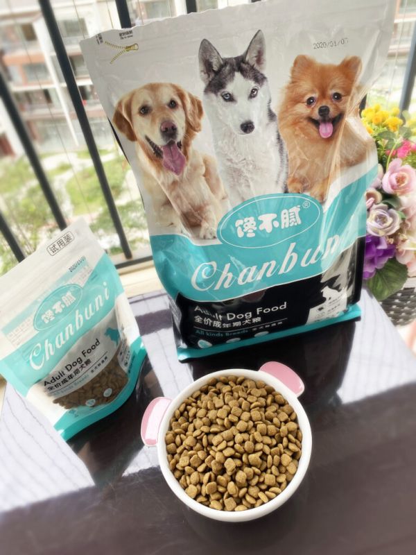 泰迪犬吃什么狗粮好？