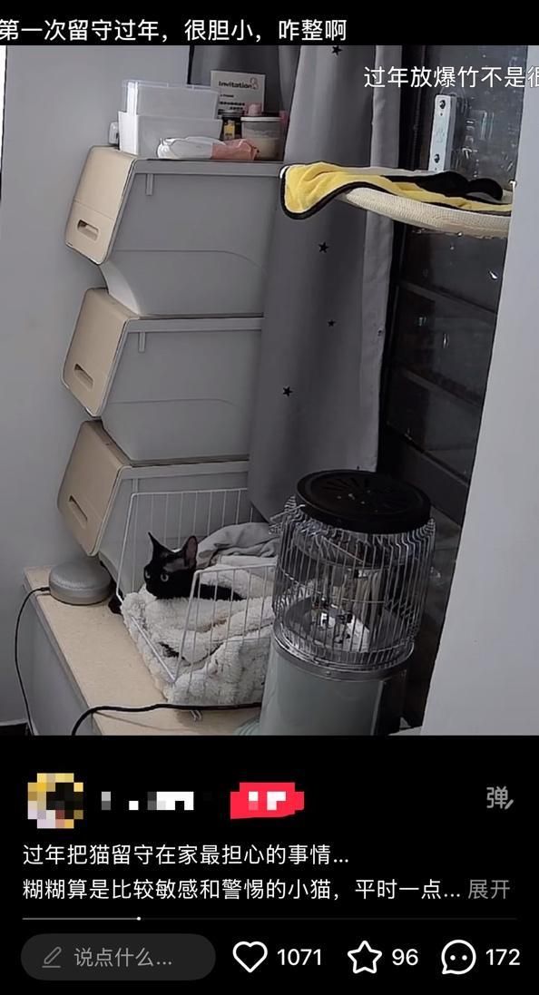 春节多地限时限区燃放烟花爆竹，人类的节日宠物的难日，为何宠物害怕鞭炮声！