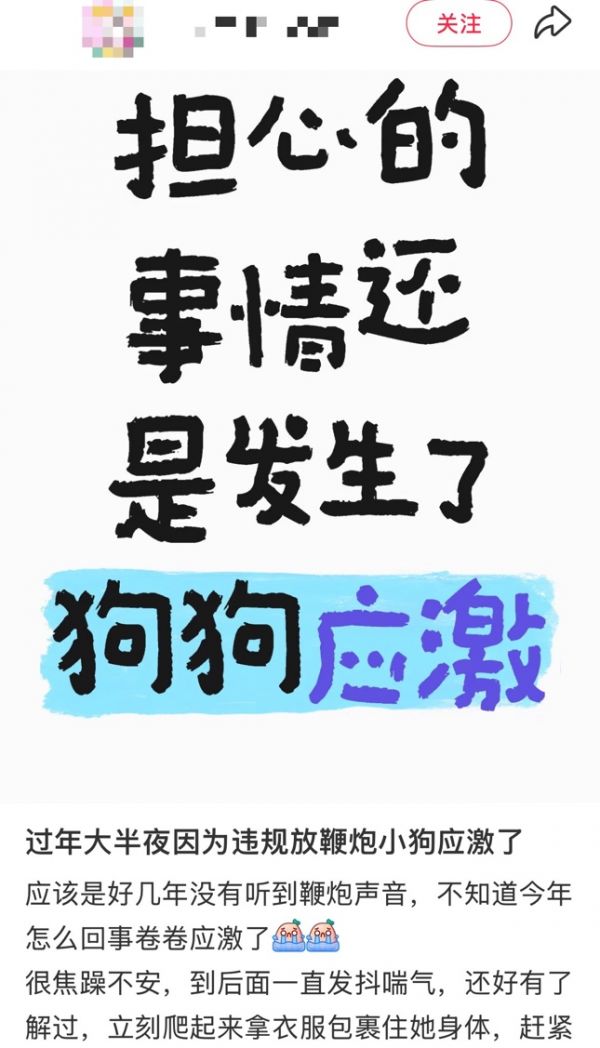春节多地限时限区燃放烟花爆竹，人类的节日宠物的难日，为何宠物害怕鞭炮声！