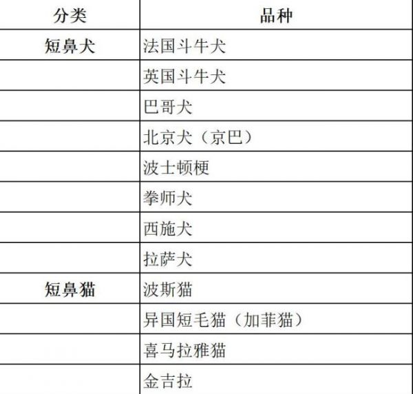 春节多地限时限区燃放烟花爆竹，人类的节日宠物的难日，为何宠物害怕鞭炮声！
