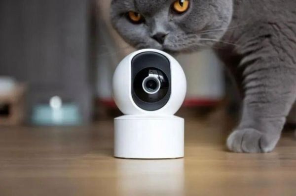 春节多地限时限区燃放烟花爆竹，人类的节日宠物的难日，为何宠物害怕鞭炮声！