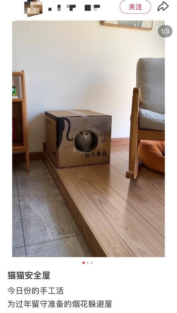 春节多地限时限区燃放烟花爆竹，人类的节日宠物的难日，为何宠物害怕鞭炮声！