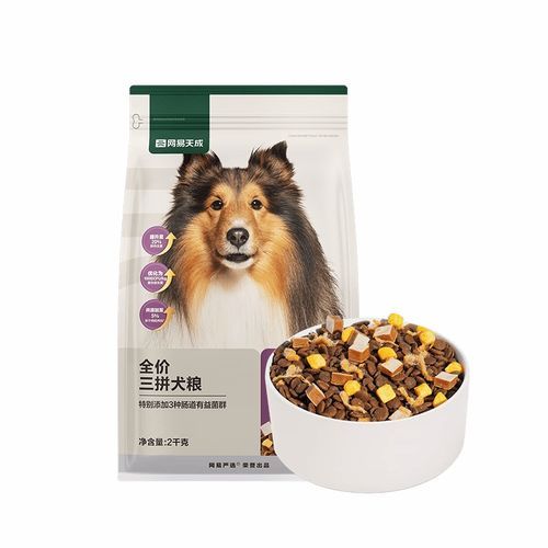 如何挑选宠物狗的食材？