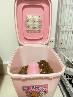 挑选猫粮，档次看需求。