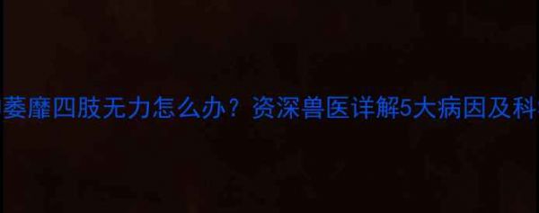 图片 泰迪犬精神萎靡四肢无力怎么办？资深兽医详解5大病因及科学调理方案