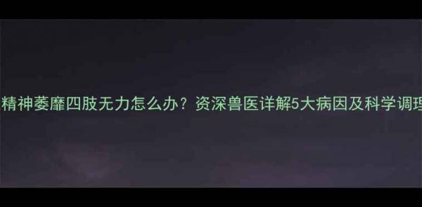 图片 泰迪犬精神萎靡四肢无力怎么办？资深兽医详解5大病因及科学调理方案2