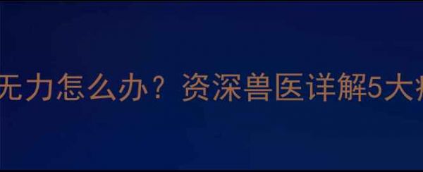 图片 泰迪犬精神萎靡四肢无力怎么办？资深兽医详解5大病因及科学调理方案1
