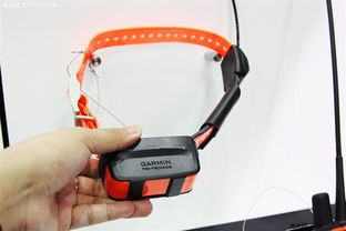 “GPS定位，狗狗不丢，佳明GPS，训狗神器！”