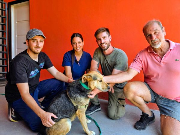 persona paseando perro