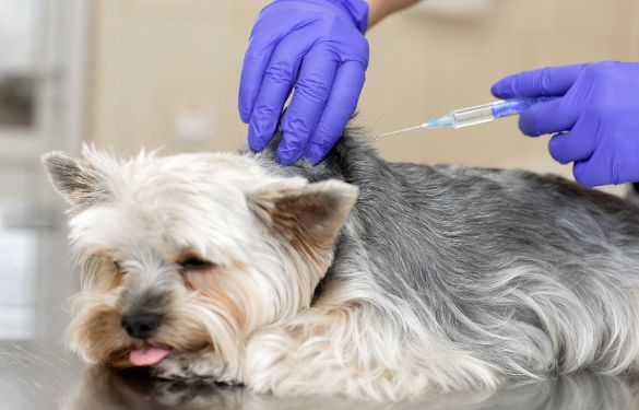 真正的创新才能引领行业进步，增加企业核心竞争力