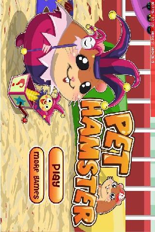 小宠物仓鼠换装记截图3