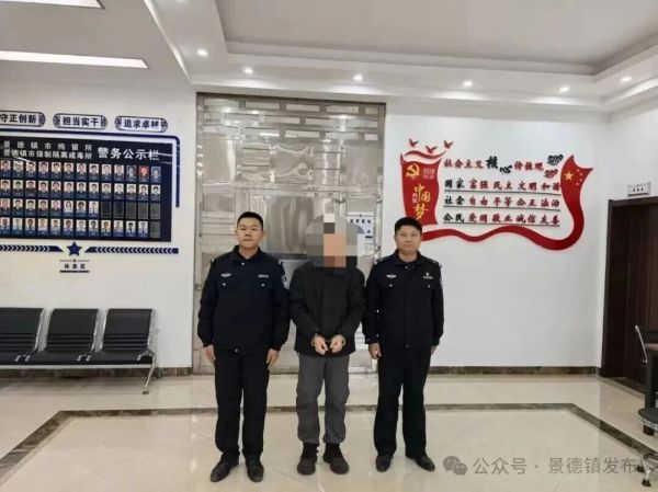 宠物犬未牵绳咬伤路人，主人被行拘！