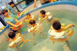 “宠物运动指南：养宠必看，健康快乐相伴！”