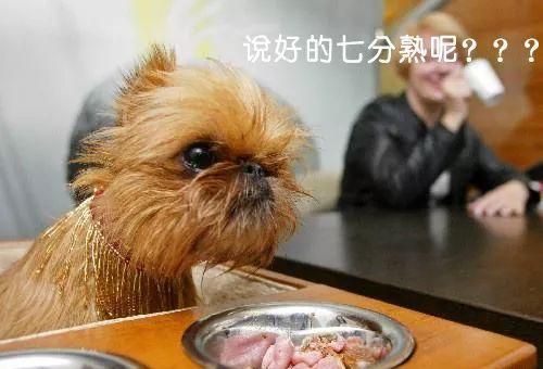 宠物饮食禁忌：胡椒不宜喂狗。