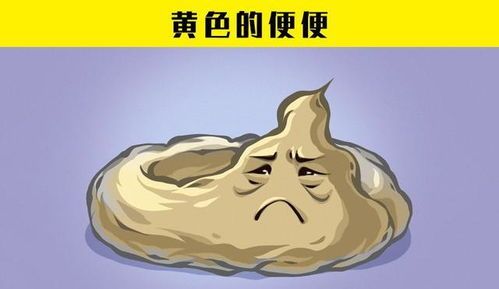 宠物肝脏健康问题