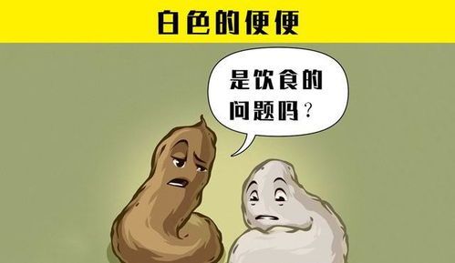 宠物肝脏健康问题