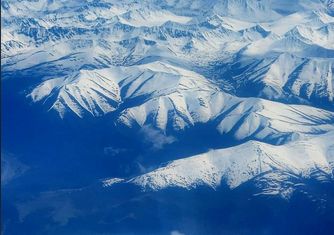 冬天怎么养仓鼠-冬养仓鼠