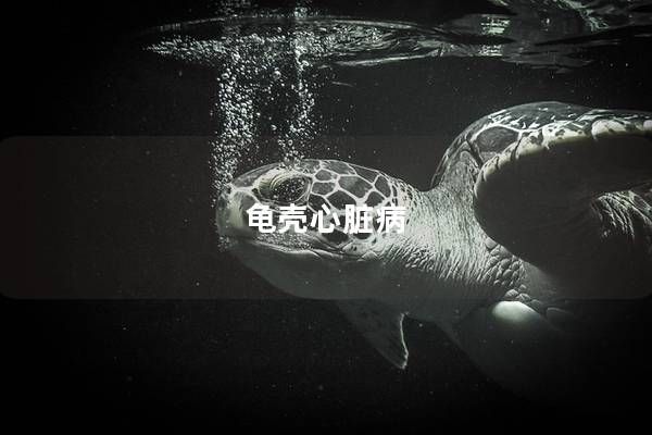 龟壳心脏病