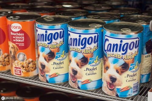 自制狗粮不宜加盐，科学搭配是关键。